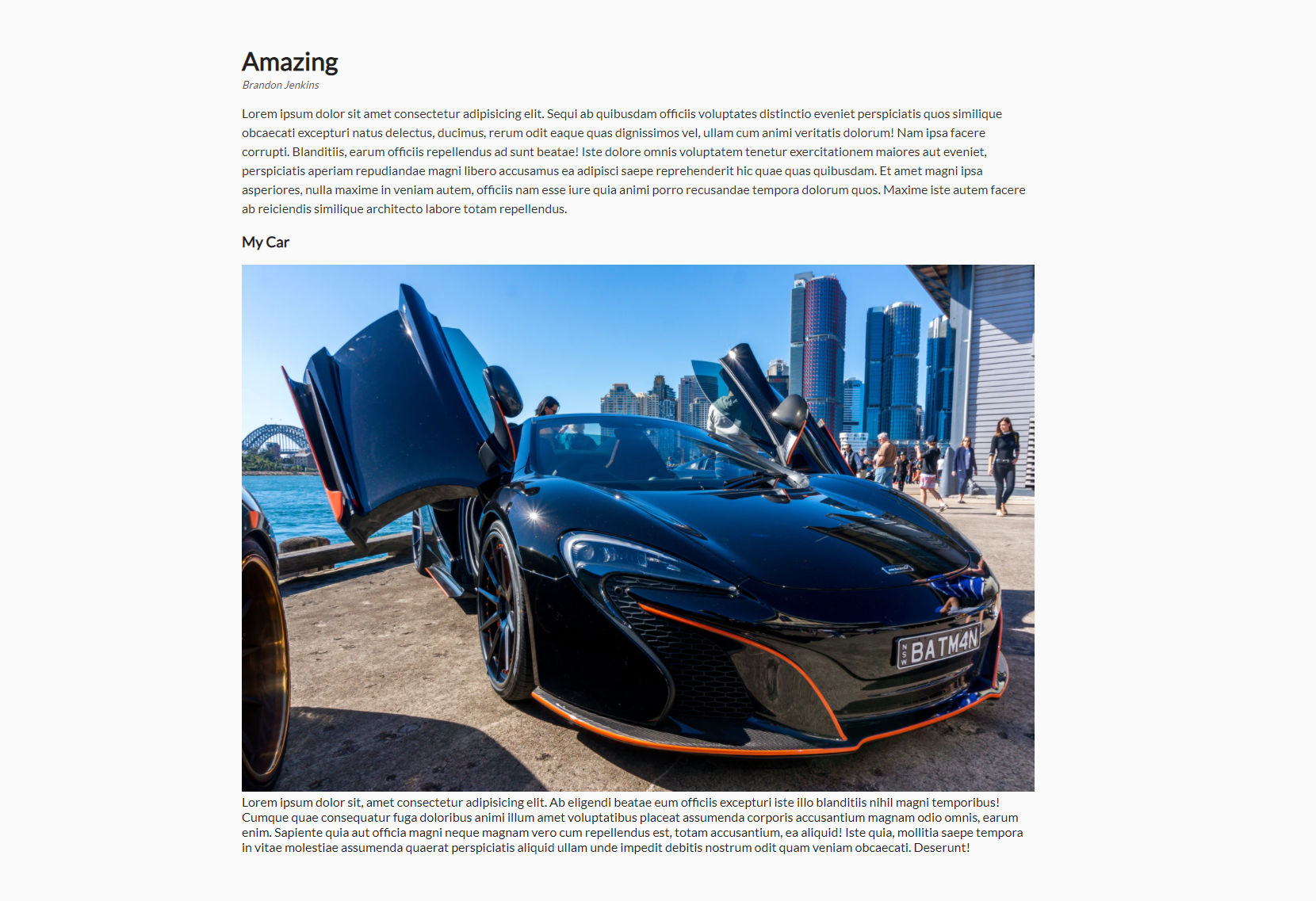 preview image of project